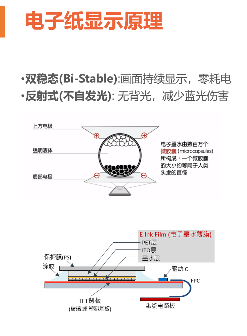 小精英智能电子学生宝4G通讯AI学习机